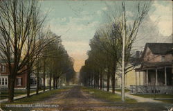 Residence Street Hartford, MI Postcard Postcard Postcard