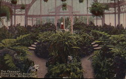 The Fernery, Horticultural Building Postcard