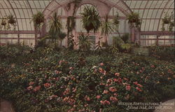 Interior, Horticultural Building, Belle Isle Detroit, MI Postcard Postcard Postcard