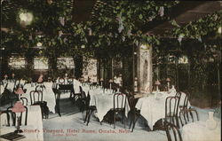 Rome's Vineyard, Hotel Rome Omaha, NE Postcard Postcard Postcard