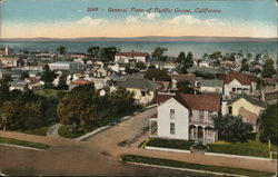 General View Postcard