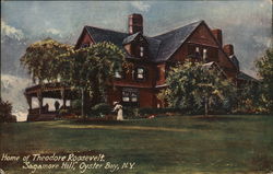 Home of Theodore Roosevelt Postcard