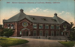 Harmon Gymnasium University of California Postcard