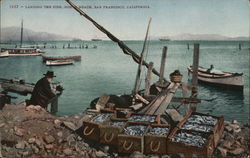 Landing the Fish, North Beach Postcard