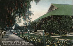 Edison Land and Water Company Postcard