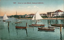 Scene on Lake Merritt Oakland, CA Postcard Postcard Postcard