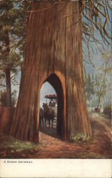 A Horse Archway Postcard