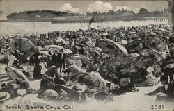 Busy Beach Scene, Beach Umbrellas Santa Cruz, CA Postcard Postcard Postcard