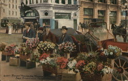 Flower Vendor, Kearney and Geory Street San Francisco, CA Postcard Postcard Postcard