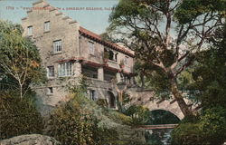 Welterrebben on a Berkeley Hillside Postcard