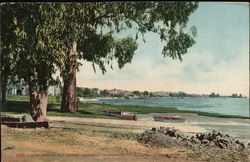 Low Tide at Bay Shore Postcard