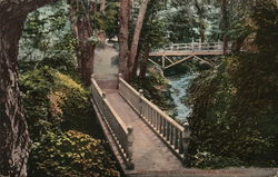 Ginny Way Mills College Oakland, CA Postcard Postcard Postcard