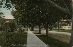 McDonald Ave., Sonoma County Postcard