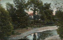 Creek Scene Postcard