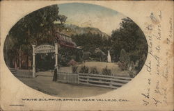 White Sulphur Spring Postcard