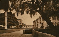 College of the Holy Names Postcard