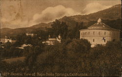 General View Postcard