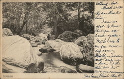 Creek in Alum Rock Park in Winter San Jose, CA Postcard Postcard Postcard