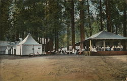 Camp Curry Yosemite Valley, CA Yosemite National Park Postcard Postcard Postcard