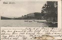 Looking up the Lake Bryant Pond, ME Postcard Postcard Postcard