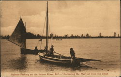 Salmon Fishing on the Fraser River Postcard