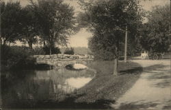 Rustic Bridge to Willow Island Niagara Falls, NY Postcard Postcard Postcard