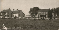 One of the Many Herds, Hershey Chocolate Company Pennsylvania Postcard Postcard Postcard