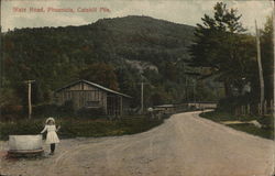 State Road in the Catskill Mountains Postcard