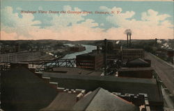 Birdseye View Down the Oswego River Postcard