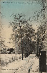 Winter Landscape, Bronx Park New York, NY Postcard Postcard Postcard