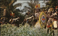 Jungle Drum Beats - Native Chants Anaheim, CA Disney Postcard Postcard Postcard