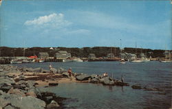 Yacht Basin Postcard