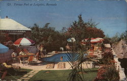 Terrace Pool at Ledgelets Postcard