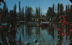 Xochimilco, Landscape with Flowers Mexico Postcard Postcard Postcard