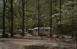 Gulpha Gorge Campground Hot Springs, AR Postcard Postcard Postcard