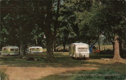 Caravans in the New Forest, Holland's Wood England Postcard Postcard Postcard