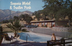 Sequoia Motel & Trailer Park Postcard