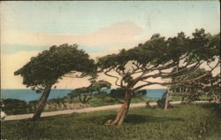 The Cedars at West Chop Martha's Vineyard, MA Postcard Postcard Postcard