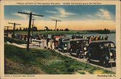 Pymatuning Lake, The Famous Spillway Where the Ducks Walk on the Fish Pennsylvania Postcard Postcard Postcard