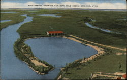 Bird Refuge Showing Canadian Wild Geese Postcard