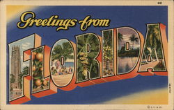 Greetings From Florida Postcard