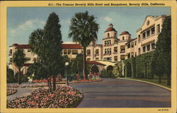 The Famous Beverly Hills Hotel and Bungalows Postcard