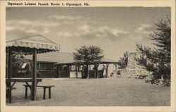 Ogunquit Lobster Poind, ROute 1 Postcard