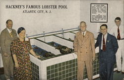 Hackney's Famous Lobster Pool Postcard