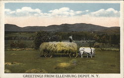 Greetings From Ellenburg Depot, N.Y. Postcard