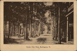 Queen City Park Burlington, VT Postcard Postcard Postcard