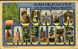 Greetings From North Carolina, Great Smoky Mountains National Park Postcard