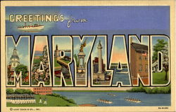 Greetings From Maryland Postcard