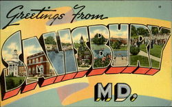 Greetings From Salisbury Maryland Postcard Postcard