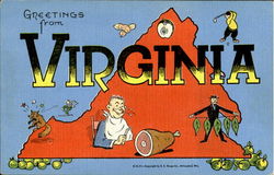 Greetings From Virginia Postcard